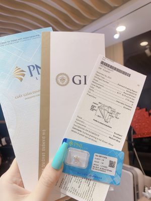 Viên chủ 8.1-D-IF-5476832618