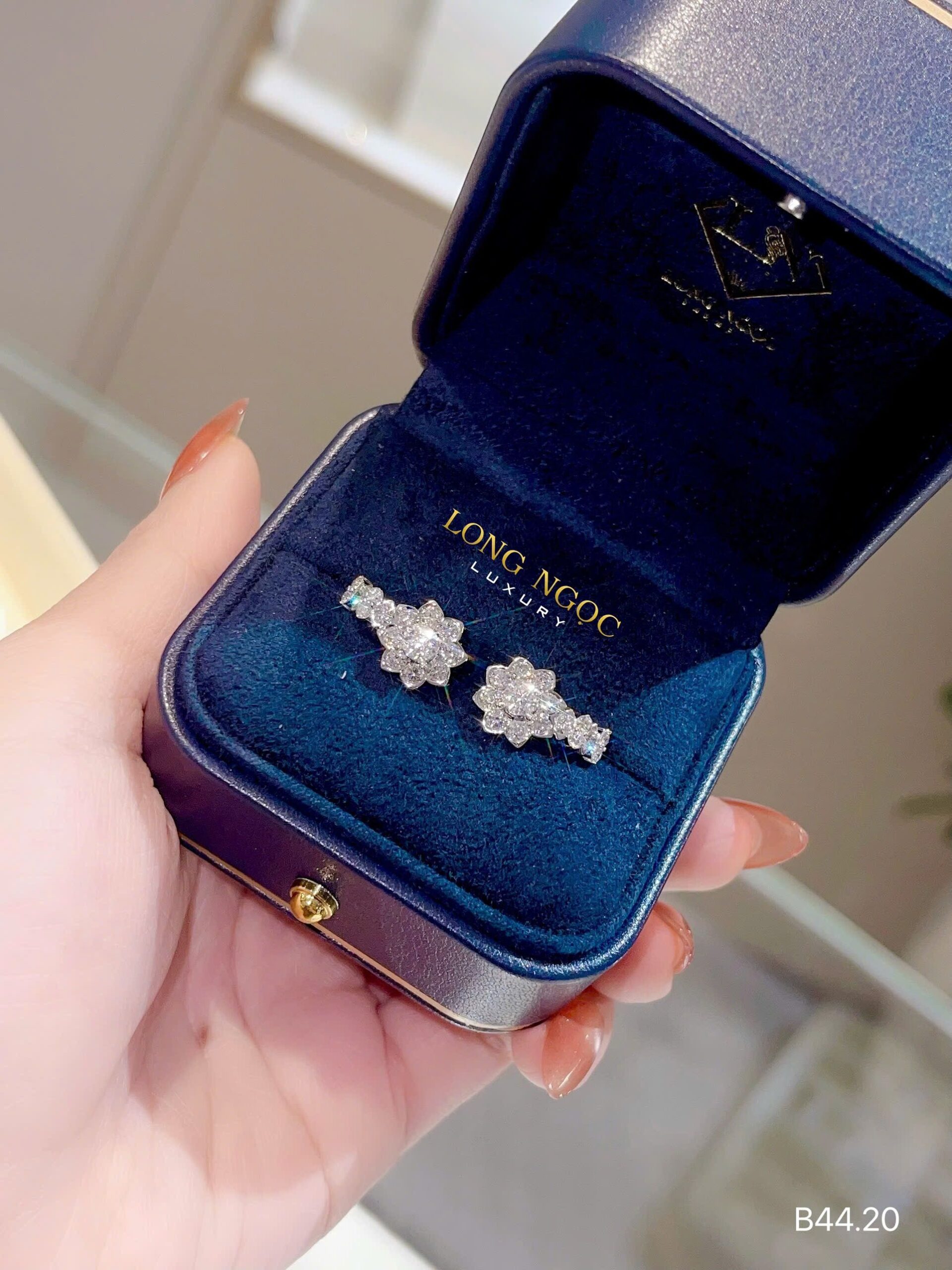Bông Tai Kim Cương - Long Ngọc Luxury - B44.20