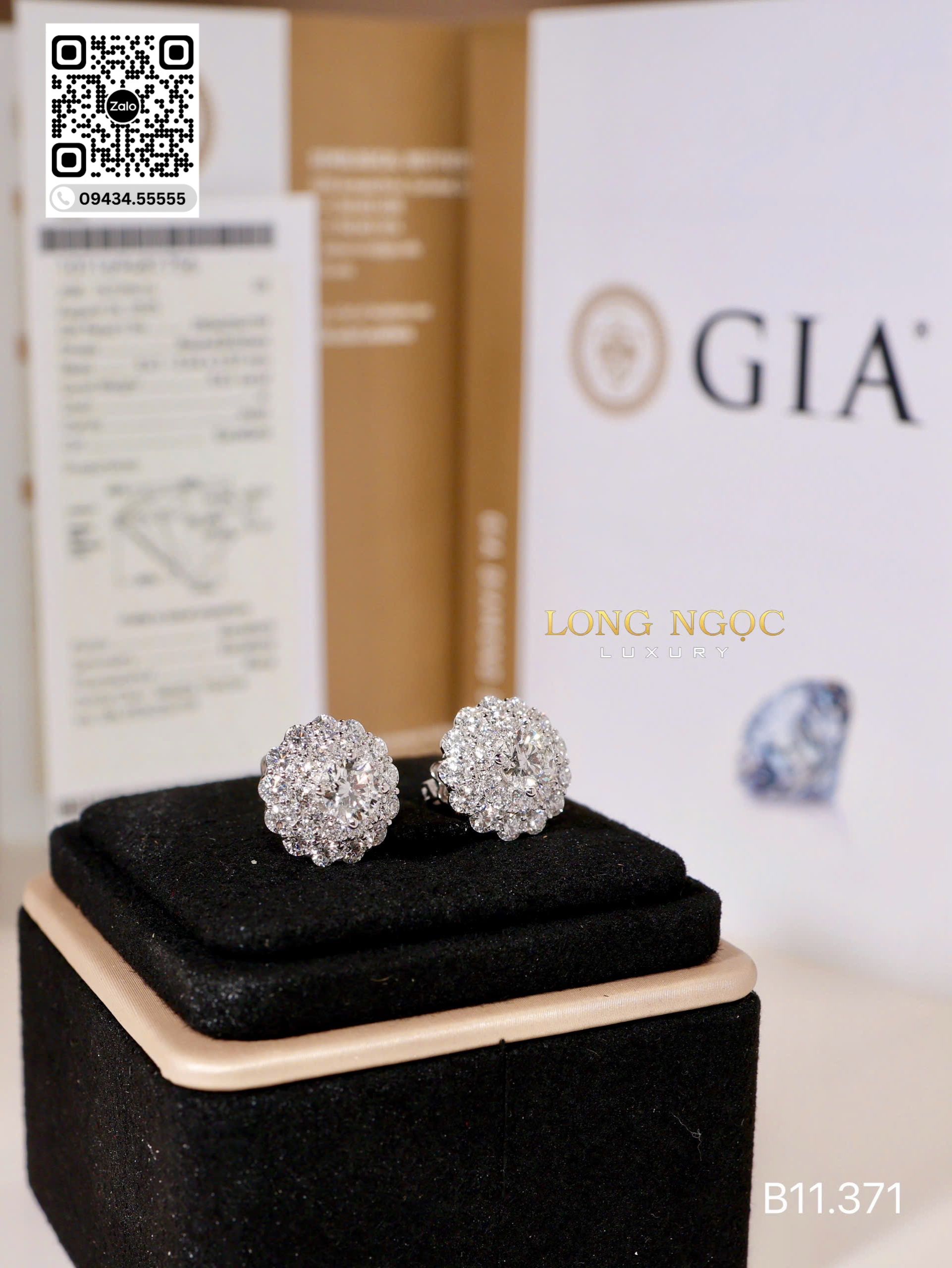 Bông Tai Kim Cương - Long Ngọc Luxury - B11.371