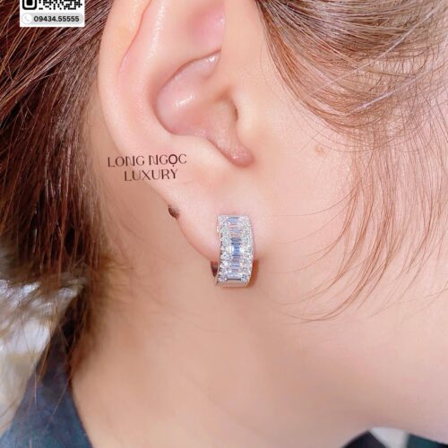 Bông Tai Kim Cương - Long Ngọc Luxury - B187.64